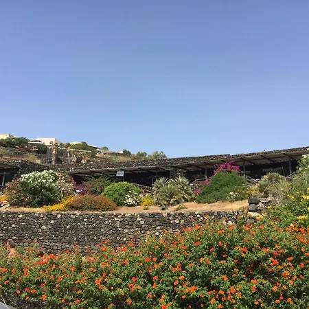 Dammusi Qawsara * Penna